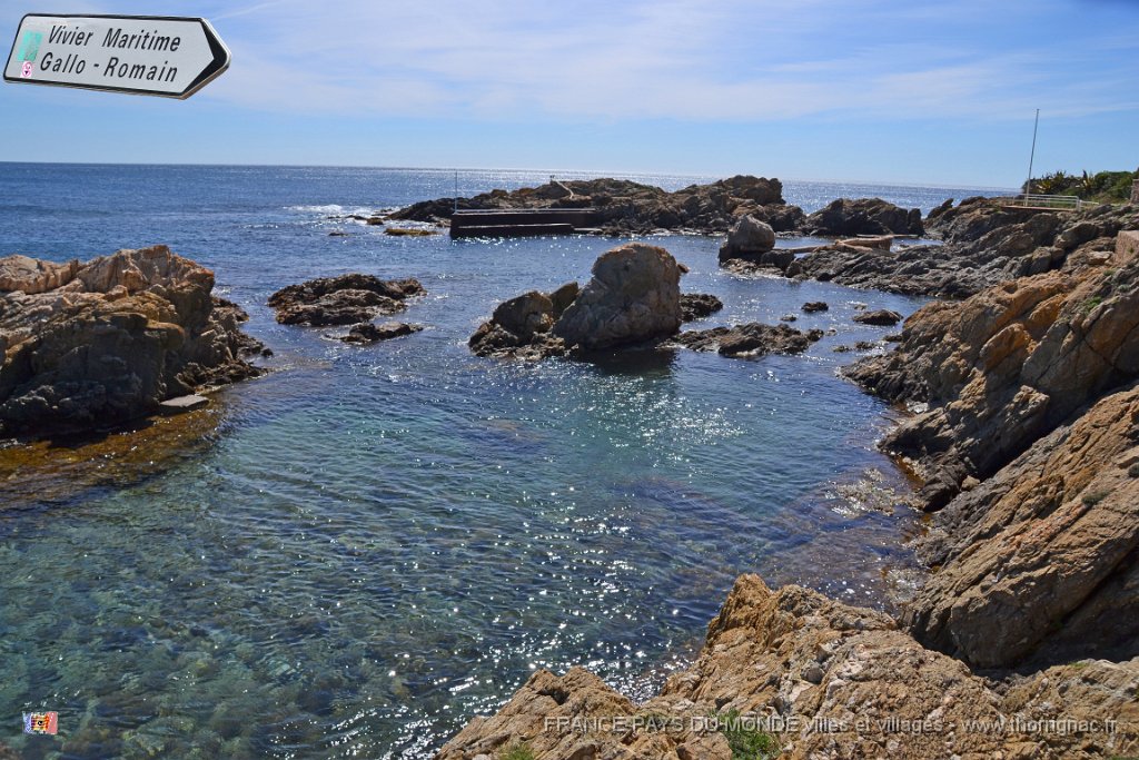 Viviers romains 2 copie.jpg - Les viviers romains. 02 avril 2015.